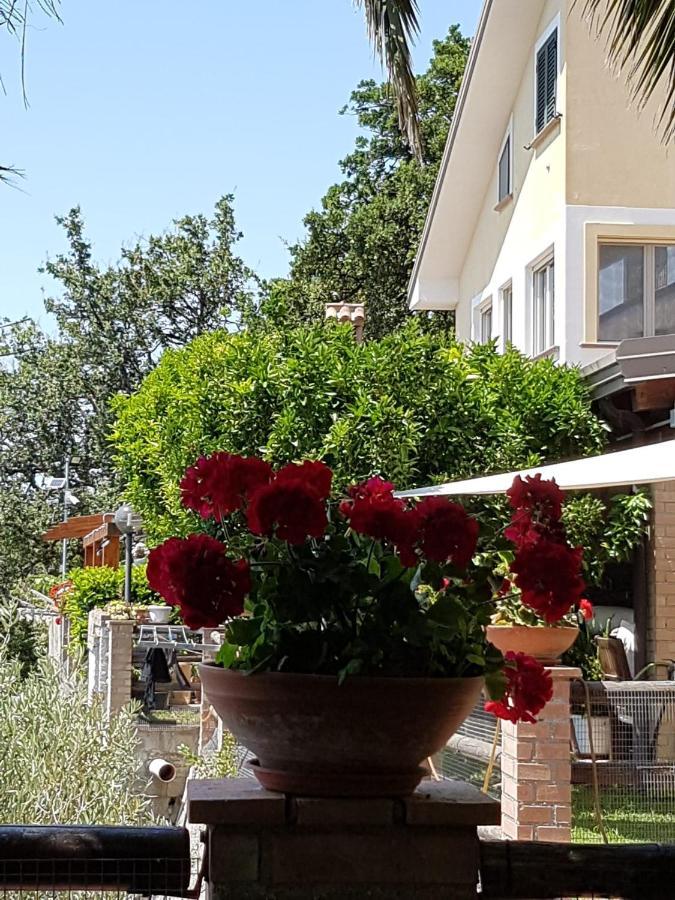 B&B L'Eucalipto Paola Exterior foto